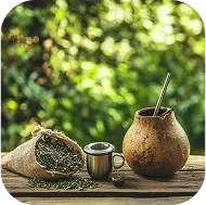 Yerba Mate